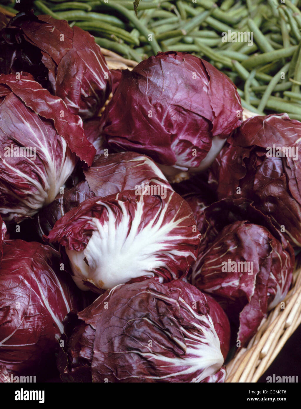 Chicory - Radacchio - `Rossa de Verona'   VEG020173 Stock Photo